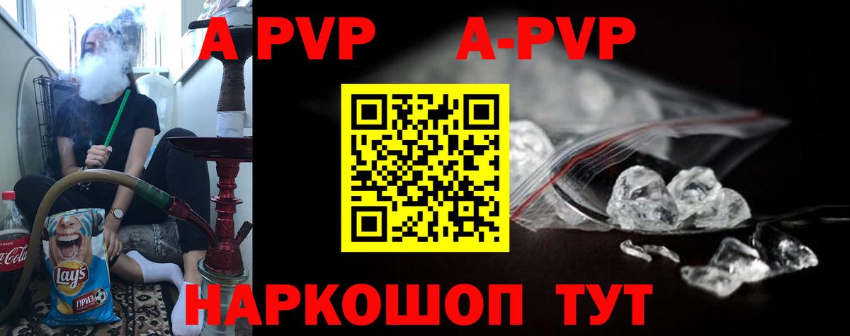 Alfa_PVP СК Владивосток