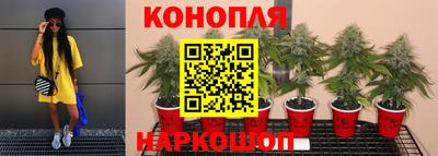 тгк Малгобек