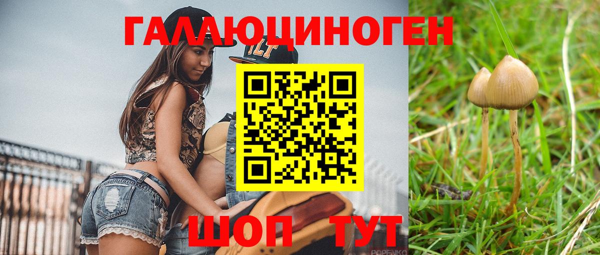 Галлюциногенные грибы прущие грибы  Вход с VPN  Владивосток 