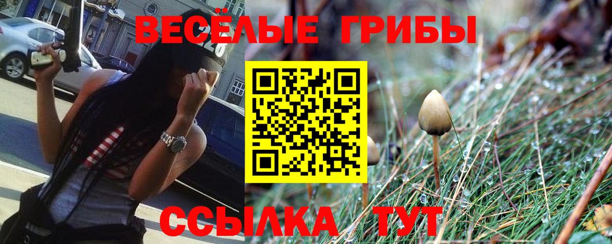 Псилоцибиновые грибы MAGIC MUSHROOMS Владивосток